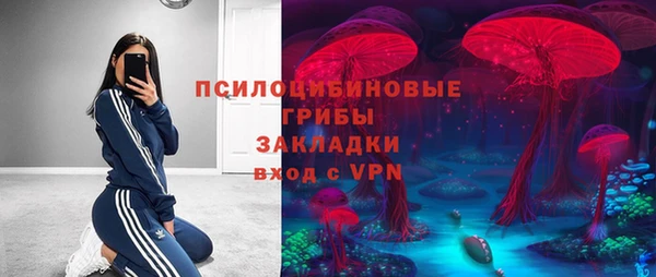 амф Белокуриха