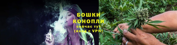 амф Белокуриха
