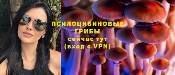 амф Белокуриха