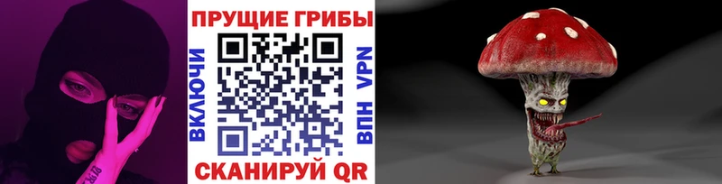 мега tor Мезень Галлюциногенные грибы Cubensis магазин продажи наркотиков